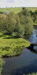 Trees,Height,Bridge,Glade,Meadows,Nature,Stone,Arch,Polyana,Arches