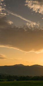 Trees,Hill,Nature,Dawn,Landscape