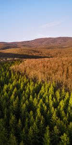 Les Collines,Collines,Nature,Forêt,Arbres,Paysage