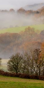 Trees,Hills,Landscape,Nature,Fog