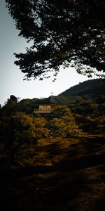 Arbres,Les Collines,Collines,Nature,Temple,Pagode