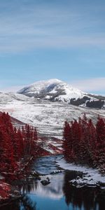 Collines,Les Collines,Nature,Rivières,Montagnes,Arbres,Paysage