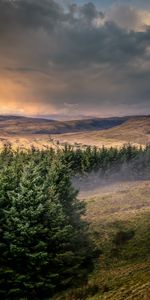 Trees,Hills,View,Nature,Landscape