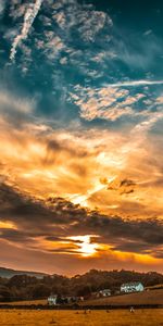 Trees,Horizon,Field,Clouds,Sunset,Sky,Nature