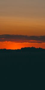 Trees,Horizon,Nature,Sunset