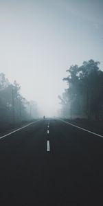 Trees,Horizon,Road,Markup,Fog,Nature