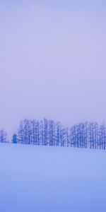 Trees,Horizon,Winter,Snow,Minimalism