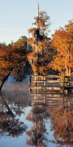 Trees,Lake,Bridge,Nature,Autumn,Underwater,Under Water