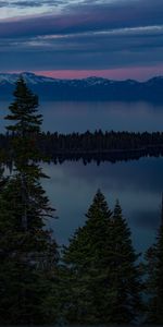 Trees,Lake,Evening,United States,South Lake Tahoe,Nature,Usa