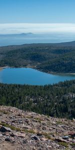 Trees,Lake,Forest,Nature,Landscape