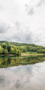 Trees,Lake,Forest,Nature,Reflection