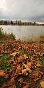 Trees,Lake,Nature,Autumn,Leaves