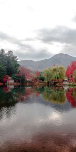 Naturaleza,Árboles,Lago,Casas,Montañas