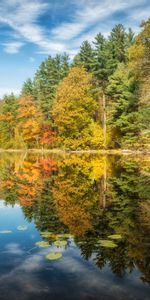 Trees,Lake,Nature,Reflection,Autumn,Forest