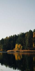 Réflexion,Nature,Forêt,Lac,Arbres,Eau