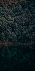 Trees,Lake,Reflection,Begnas,Lehnat,Lekhnat,Nature,Nepal,Forest