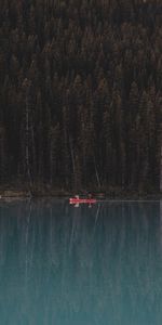 Réflexion,Nature,Forêt,Lac,Arbres,Un Bateau,Bateau