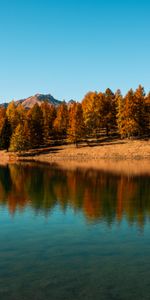 Trees,Lake,Reflection,Nature,Autumn