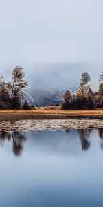 Nature,Arbres,Réflexion,Lac,Rive,Banque,Brouillard