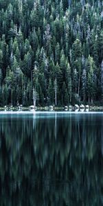 Réflexion,Forêt,Banque,Nature,Arbres,Lac,Rive