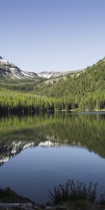 Trees,Lake,Spruce,Fir,Nature,Mountains,Reflection,Landscape