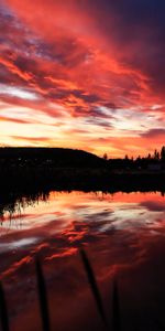 Silhouettes,Lac,Arbres,Coucher De Soleil,Sombre