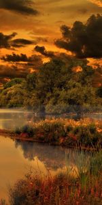 Trees,Lake,Vegetation,Color,Shrubs,Reeds,Blackness,Sky,Clouds,Colors,Nature,Creepy