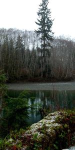 Sauvages,Nature,Forêt,Lac,Arbres,Jungle,Automne