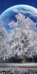 Arbres,Paysage,Fantaisie