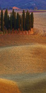 Paisaje,Árboles,Los Campos