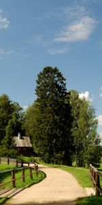 Trees,Landscape,Fields