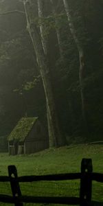 Arbres,Paysage,Maisons