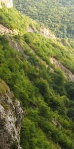 Montañas,Paisaje,Naturaleza,Árboles