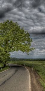 Trees,Landscape,Roads