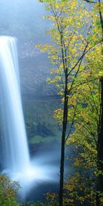 Trees,Light,Waterfall,Nature,Summer,Shine