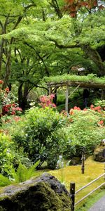 Trees,Lights,Lanterns,Vegetation,Track,Shed,Diversity,Variety,Canopy,Abundance,Nature,Garden