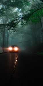 Trees,Lights,Shine,Light,Fog,Road,Headlights,Car,Dark