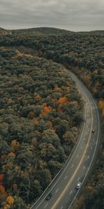 Trees,Markup,Machine,Nature,Road,Car,Autumn