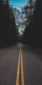 Trees,Markup,Mountains,Road,Forest,Nature