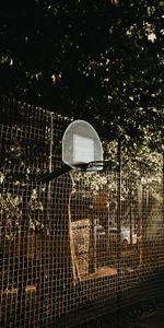 Bouclier De Basket Ball,Arbres,Divers,Grille,Panneau De Basket Ball,Basket Ball