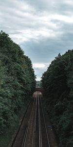 Trees,Miscellanea,Miscellaneous,Corridor,Railway,Tunnel,Rails