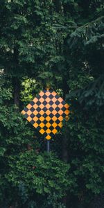 Trees,Miscellaneous,Forest,Miscellanea,Sign