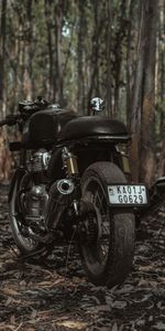 Trees,Motorcycles,Motorcycle,Bike,Royal Enfield