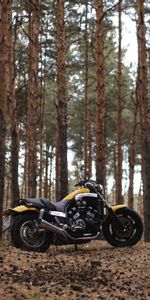 Trees,Motorcycles,Side View,Motorcycle,Yamaha,Bike