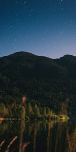 Montaña,Lago,Bosque,Naturaleza,Árboles,Cielo Estrellado