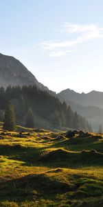 Trees,Mountain,Relief,Irregularities,Hills,Road,Landscape,Nature