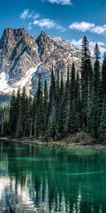 Trees,Mountain,Shore,Bank,Nature,Rivers