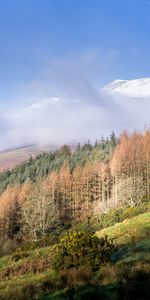 Trees,Mountain,Top,Cloud,Nature,Snow,Vertex