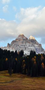 Trees,Mountain,Vertex,Top,Forest,Nature,Landscape