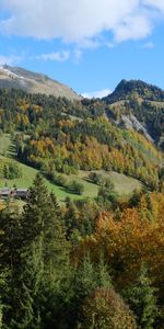 Montagne,Retour Au Début,Collines,Les Collines,Nature,Arbres,Sommet,Paysage